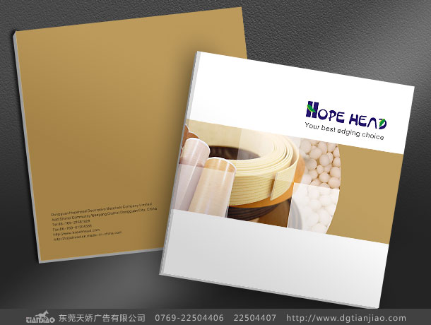 慧海裝飾公司畫(huà)冊(cè)設(shè)計(jì)