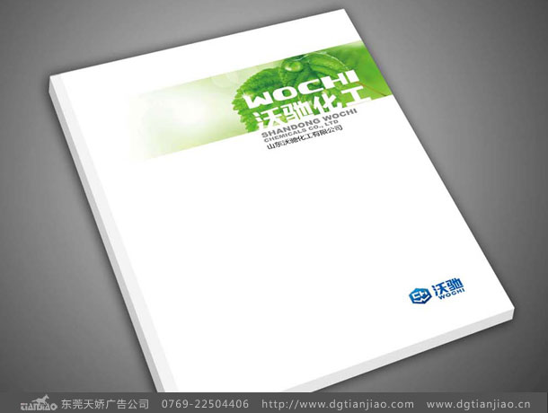 東莞化工業(yè)畫(huà)冊(cè)設(shè)計(jì)