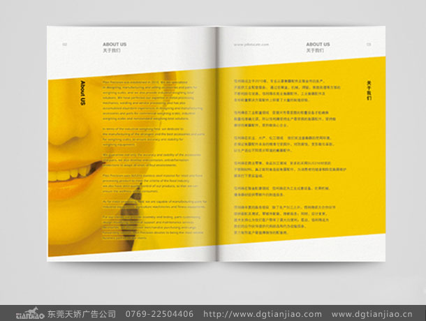 企業(yè)產(chǎn)品畫冊設(shè)計(jì)案例