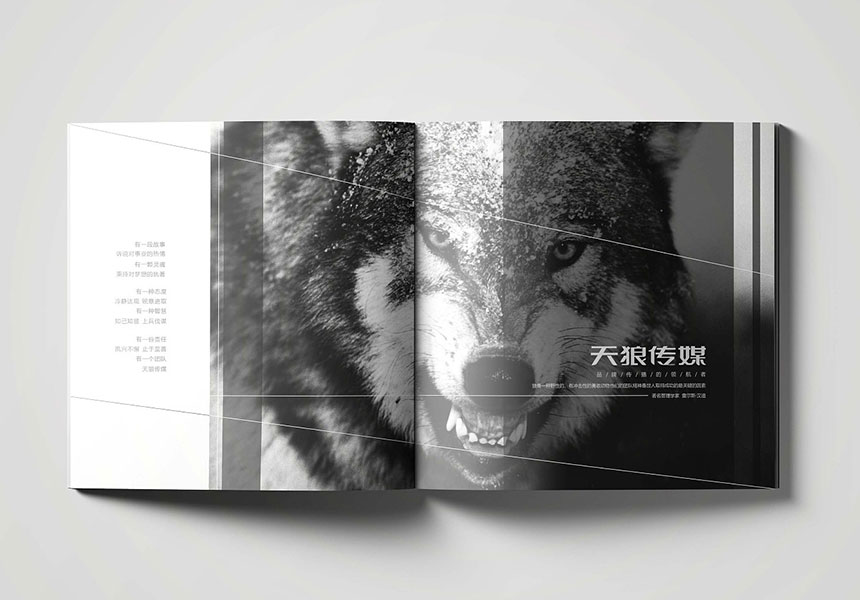 深圳畫(huà)冊(cè)設(shè)計(jì)的四個(gè)步驟告訴我們做畫(huà)冊(cè)要找專業(yè)的公司
