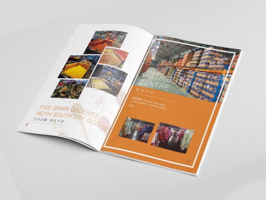 知名休閑食品畫冊設(shè)計(jì)