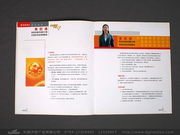 東莞政府彩頁設(shè)計