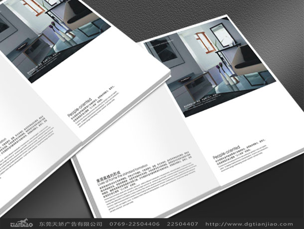東莞專業(yè)家具畫冊設計