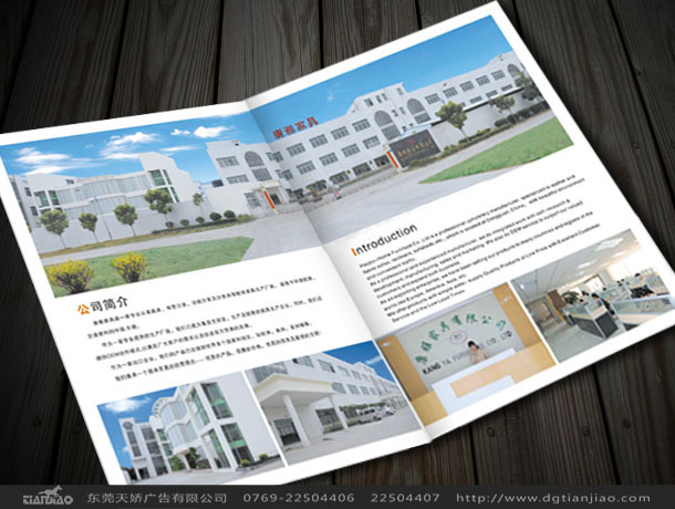 東莞家具宣傳冊(cè)設(shè)計(jì)