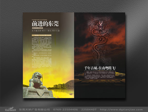 東莞地產(chǎn)畫冊(cè)設(shè)計(jì)